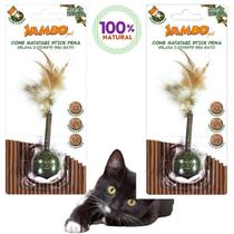 Kit 2 Brinquedo de Gato Cone Catnip Matatabi Stick Pena Jambo Pet