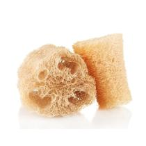Kit 2 Buchas Vegetal Pedaço Natural Banho GRANDES