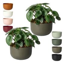 Kit 2 Cachepo Due N6 Cuia 21 Plantas Vasos Raiz 24cm - Cor