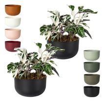 Kit 2 Cachepo Due N6 Cuia 21 Plantas Vasos Raiz 24cm - Cor Kit 2 Cachepo Due N6 Cuia 21 Plantas Vasos Raiz 24cm - Cor