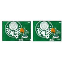 Kit 2 Cadernos Palmeiras Desenho 40 Folhas Pequeno