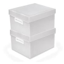 Kit 2 Caixa Organizadora Com Tampa Multiuso Pequena Polionda