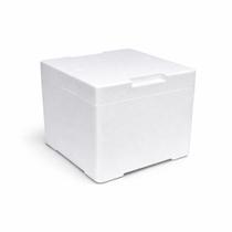 Kit 2 Caixas Isopor 8 Lt Medicam. E Pereciveis Parede Dupla