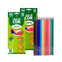 Kit 2 Caixas Lápis 12 cores Sextavado Ecológico