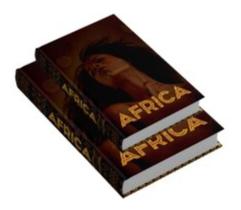 Kit 2 Caixas Livro Decorativa Africa Colorido