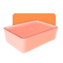 Kit 2 Caixas Organizadoras 2,8L Com Tampa Acrílica Empalhável E Multiuso