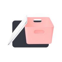 Kit 2 Caixas Organizadoras Rosa 4L Tampa Acrílica Envio 24Hr