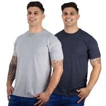Kit 2 Camisetas Básicas Manga Curta Masculinas 100% Algodão Premium TRV Cores Variadas