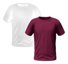 Kit 2 Camisetas Masculinas Camisa Manga Curta Lisa Premium (
