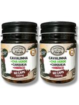 Kit 2 Cavalinha hibisco chá verde e carqueja