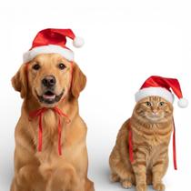 Kit 2 Chapéu Natalino P/ Cães E Gatos Gorro Papai Noel Pet