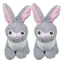 Kit 2 Coelhos De Pelúcia Peludinho Tuka Sentado 30Cms - Marrom Cinza