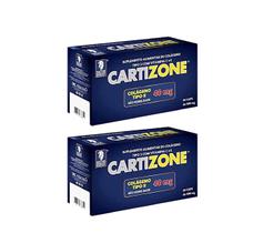 Kit 2 Colágeno Tipo 2 Com Vitamina C E 60 Cápsulas Cartizone