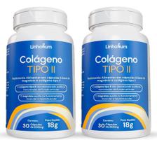 Kit 2 Colágeno Tipo 2 Magnésio Articulação Muscular Linhahum