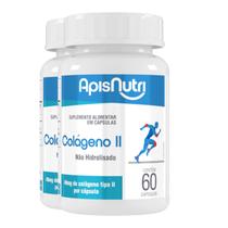 Kit 2 Colágeno Tipo II Apisnutri 60 Cápsulas Kit 2 Colágeno Tipo II Apisnutri 60 Cápsulas