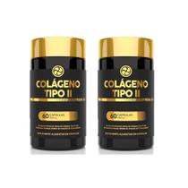 Kit 2 Colágeno Tipo II Premium 500mg 2x60 cps Floral Ervas