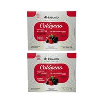 Kit 2 Colágeno Verisol Frutas Vermelhas Com 30 Envelopes Kit 2 Colágeno Verisol Frutas Vermelhas Com 30 Envelopes