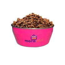 Kit 2 Comedouro Morapet Max Collor Pesado para Cães Gatos P
