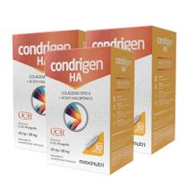 Kit 2 Condrigen H.A. Colágeno Tipo 2 + Ácido Hialurônico 30 Cáps Maxinutri