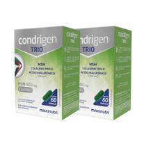 Kit 2 Condrigen Trio MSM 900mg 60 Cápsulas - Maxinutri
