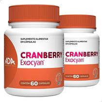 Kit 2 Cranberry 120 Cápsulas Extrato Seco Suplemento Original Fruta Natural Concentrado Vitamina