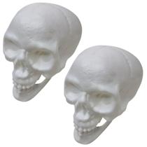 Kit 2 Cranio Caveira Esqueleto Decorativo Plastico Halloween - Pais e filhos