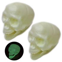 Kit 2 Cranio Caveira Esqueleto Neon Brilha Escuro Halloween - Pais e filhos