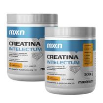 Kit 2 Creatina MXN Intelectum Pó 300g Maxinutri Kit 2 Creatina MXN Intelectum Pó 300g Maxinutri