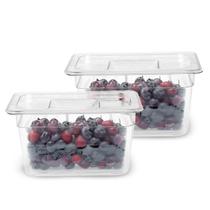 Kit 2 Cuba Gastronomica Com Tampa Gn Buffet Acrilico 1/4 100mm