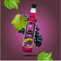 Kit 2 Dilute Premium 500ml Todos Sabores(original).você Escolhe O Sabor