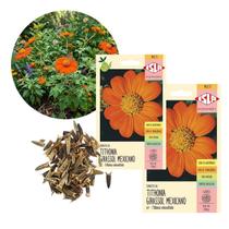 Kit 2 Envelopes de Semente Titonia Girassol Mexicano 0,5g