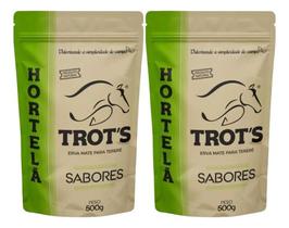 Kit 2 Erva Mate Tereré Premium Trot's Sabor Hortelã - TROTS