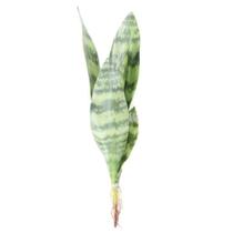 Kit 2 Espada São Jorge Planta Artificial Plástico 48cm - Gici Decor