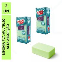 Kit 2 Esponjas PVA Super Absorção Multiuso Não Risca Flash Limp