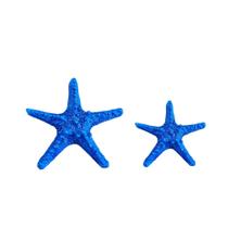 Kit 2 Estrelas do Mar Azul Decoração Casa de Praia Piscina VARIAS VARIEDADES