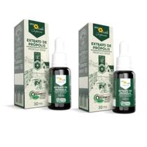 Kit 2 Extrato de Própolis Verde Orgânico 30ml Apis Flora Kit 2 Extrato de Própolis Verde Orgânico 30ml Apis Flora