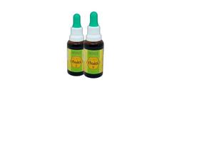 Kit 2 Extrato Própolis Verde - Flora- Livre De Cera (wax free) 30ml - Apiário Itaici Certificado SIM