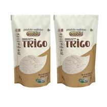 Kit 2 Farinha De Trigo Integral Vegana Orgânica Ecobio 1Kg