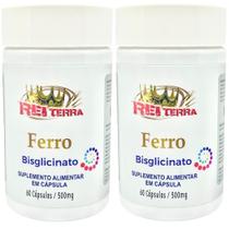 Kit 2 Ferro 120 Cápsulas - Rei Terra