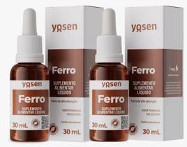 Kit 2 Ferro Bisglicinato Líquido Ydrosolv 30ml Framboesa - ferro liquido frambuesa 30 ml