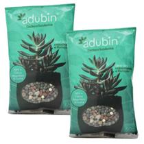 Kit 2 Fertilizante Adubin Para Cactos E Suculentas 50g