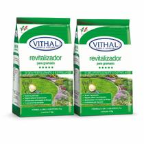 Kit 2 Fertilizante Revitalizador Para Gramados Vithal 1kg