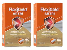 Kit 2 Flexigold Artri 60 Capsulas Herbamed
