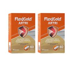 Kit 2 Flexigold Artri Suplemento Alimentar 60 Cap Herbamed