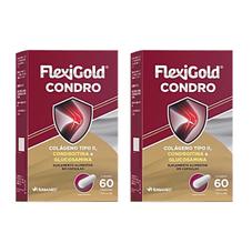 Kit 2 Flexigold Condro Colágeno Tipo 2 Condroitina 60 Caps