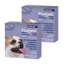 Kit 2 Flunixin 5mg Anti-Inflamatório Chemitec Cães - 10 Comprimidos