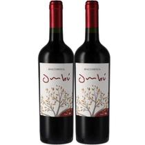 Kit 2 Garrafas Vinho Tinto Braccobosca Ombu Tannat 750ml