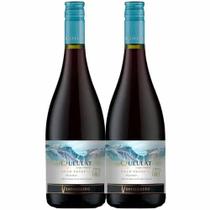 Kit 2 Garrafas Vinho Tinto Ventisquero Queulat Gran Reserva Pinot Noir 750ml
