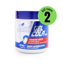 Kit 2 Gel Cola Fixação Forte 500g - Siles
