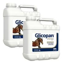 Kit 2 Glicopan Energy 5 Litros Suplemento P/ Cavalos- Vetnil